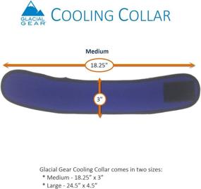 img 3 attached to Stay Cool Anytime with Penn-Plax Glacial Gear Cooling Collar for Dogs