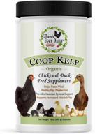 🦆 boost your chickens and ducks' health with fresh eggs daily coop kelp organic feed supplement - 1lb logo