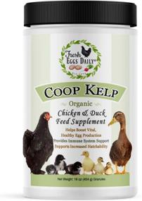 img 4 attached to 🦆 Boost Your Chickens and Ducks' Health with Fresh Eggs Daily Coop Kelp Organic Feed Supplement - 1LB