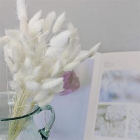 img 3 attached to 🌾 Natural Dried Lagurus Ovatus Flowers with Rabbit Tail Pampas - Perfect Décor for Wedding, Home, Photography - 60 Stems, White, 45cm Large