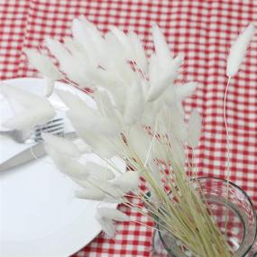 img 2 attached to 🌾 Natural Dried Lagurus Ovatus Flowers with Rabbit Tail Pampas - Perfect Décor for Wedding, Home, Photography - 60 Stems, White, 45cm Large