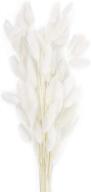 🌾 natural dried lagurus ovatus flowers with rabbit tail pampas - perfect décor for wedding, home, photography - 60 stems, white, 45cm large logo