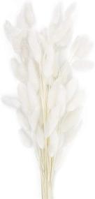 img 4 attached to 🌾 Natural Dried Lagurus Ovatus Flowers with Rabbit Tail Pampas - Perfect Décor for Wedding, Home, Photography - 60 Stems, White, 45cm Large