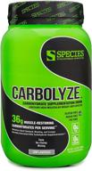 🚗 carbolyze carbohydrate powder supplement: no bloating, no cramping – high mw micronized carb powder for intra & post workout, sugar free - unflavored, 40 servings logo