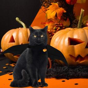 img 1 attached to 🎃 Halloween Cat Costume - Cat Cape Bat Costume with Pumpkin Bells for Pet Halloween Costume