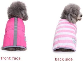 img 2 attached to 🐕 S-Lifeeling Pet Dog Reflective Winter Coat: Fashionable Autumn Warmth with Two Sides, Cotton-Padded Dowan Jacket Clothing