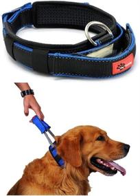 img 4 attached to 🐾 Optimized Lifeunion Mesh Padded Dog Collar with Retractable Leash for Pet Sports and Walks