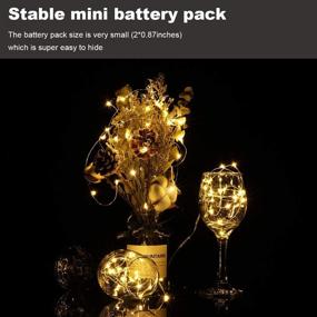 img 1 attached to 🔮 20-Pack Waterproof Mini LED Fairy Lights for Mason Jars - Battery Operated, 3.3ft Soft Warm White Firefly Lights on Silver Wire - Ideal for Party Crafts, Wedding Decorations