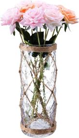 img 4 attached to Diamond Star Rustic Glass Decorative Cylinder Vase with Creative Rope Net (Large) – Enhanced SEO