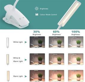 img 3 attached to 📚 LENCENT 24 LEDs Reading Light: 3 Light Color & 3 Brightness Levels, USB Rechargeable - Perfect for Kindle Bookworms, Bed Headboard, and Computers