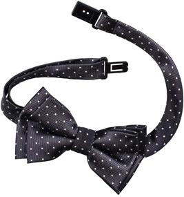 img 1 attached to Retreez Dots Woven Microfiber Pre Tied Boys' Accessories
