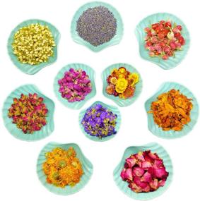 img 4 attached to 🌸 Floral Kit - 10 Bags of Natural Dried Flowers Gift Box for Candle, Bath Bomb, Soap, Resin, Greeting Card, Bookmark Making - Includes Rosebuds, Jasmine, Rose Petals, Lavender, and More