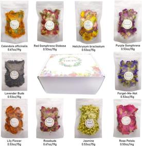 img 3 attached to 🌸 Floral Kit - 10 Bags of Natural Dried Flowers Gift Box for Candle, Bath Bomb, Soap, Resin, Greeting Card, Bookmark Making - Includes Rosebuds, Jasmine, Rose Petals, Lavender, and More