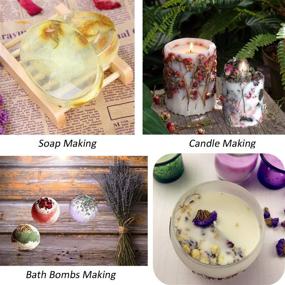 img 2 attached to 🌸 Floral Kit - 10 Bags of Natural Dried Flowers Gift Box for Candle, Bath Bomb, Soap, Resin, Greeting Card, Bookmark Making - Includes Rosebuds, Jasmine, Rose Petals, Lavender, and More