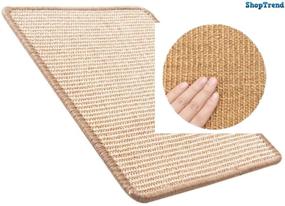 img 1 attached to 🐱 Premium Indoor Cat Scratcher Mat - 16x12 inch by SHOPTREND