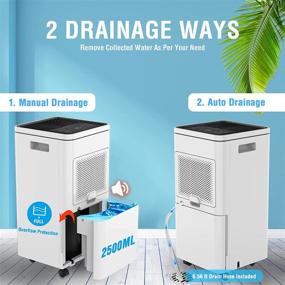 img 3 attached to 🌧️ COLAZE 2000 Sq. Ft 30 Pints Dehumidifier for Home and Basements, Dehumidifier with Drain Hose, 0.66 Gallon Water Tank Capacity, 24Hr Timer, 3-color Humidity Indicator & Auto Defrost