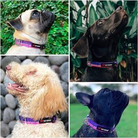 img 2 attached to 🐾 Hero Heavy-Duty Dog Collar - Tough & Reflective, with Aluminium D-Ring Leash Clip and Silent Dog ID Tag Attachment - Easy Sizing for All Breeds