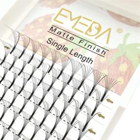 img 4 attached to EMEDA 8D Premade Volume Eyelash Extensions Mixed Tray 9-15mm D Curl 0.07mm Long Stem Fans (8D .07 D 9-15 Mix)