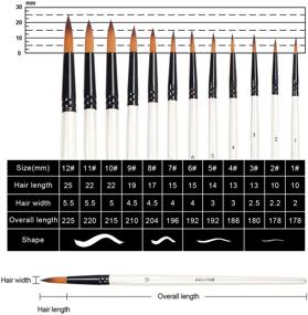 img 3 attached to Универсальный набор из 12 кистей для акриловой, масляной и акварельной живописи - набор кистей для художника тонкой детали для детей и взрослых - идеально подходит для рисования на лице, камне, ногтях и моделях.