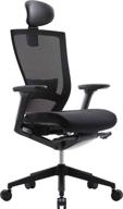 🪑 sidiz t50 ergonomic desk chair for home office: adjustable headrest, lumbar support, armrests, forward tilt, breathable mesh back, adjustable seat depth logo