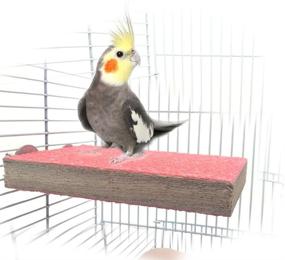 img 4 attached to 🐦 Colorful Bird Perch Stand: Natural Wood Playground Paw Grinding & Cleaning for Pet Parrot Budgies, Parakeet, Cockatiels, Conure, Lovebirds