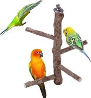 mogoko natural wood bird perch stand: hanging multi branch perch for parrots, parakeets, cockatiels, conures, macaws, love birds, finches - high-quality and durable bird stand logo