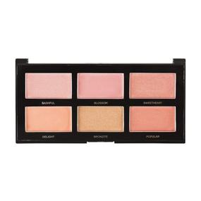 img 2 attached to Profusion Cosmetics The Go Palette - Blush I: Long Lasting 6 Color Face Blusher for a Daily Glamorous Celebrity Look