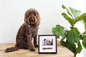 img 3 attached to Pearhead Pet Collar Picture Frame in Espresso - Perfect Holiday Gift for Pet Owners