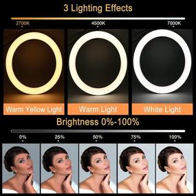 img 3 attached to 💡 10-дюймовое Светодиодное Кольцевое Светлое Кольцо: Регулируемое настольное осветление для макияжа и фотографии с штативом и держателем для телефона
