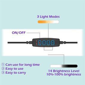 img 2 attached to 💡 10-дюймовое Светодиодное Кольцевое Светлое Кольцо: Регулируемое настольное осветление для макияжа и фотографии с штативом и держателем для телефона