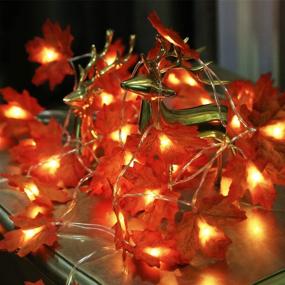 img 1 attached to 🍁 LOOUS 40 LED Maple Leaves Fairy Lights: Waterproof Fall Decor Thanksgiving String Garland, 7.9 Feet Fall Garland Decorations Lights - 2 Pack, Battery Operated for Party