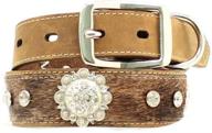 🐕 brown dog collar with concho studs and rhinestones by blazin roxx logo