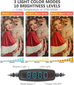 img 3 attached to 8-Inch Selfie Ring Light with Clamp & Phone Holder – Perfect for Desk, Bed, Office, YouTube, Video, Photography & TIK Tok – 3 Dimmable Colors & 10 Brightness Levels – 360° Rotatable
