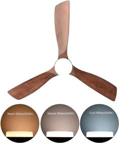 img 1 attached to 🔆 Hakkatronics 52-Inch Ceiling Fan Lights Dimmable - 6 Speed 9 Timer - 3 Carved Walnut Blades - Reversible DC Motor - Quiet Energy-Saving - Remote Control Included