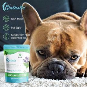 img 3 attached to 🐾 Cintastic: The Ultimate All-Natural Pet Odor Eliminator & Carpet Deodorizer for a Fresh & Clean Home