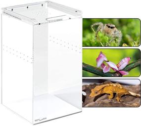 img 1 attached to 🦎 REPTI ZOO Magnetic Acrylic Case: 6x6x9 Inch Enclosure for Reptile Breeding - Terrarium Cage Tank Ideal for Tarantula, Scorpion, Sling, Isopods, Lizards, Roach, Invertebrates, Insect, Mantis