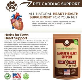 img 1 attached to ❤️ Hawthorn Dog Cardio Strength Heart Murmur Supplement - Vitamins for Pet Heart Health, Made in USA