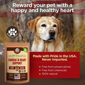 img 2 attached to ❤️ Hawthorn Dog Cardio Strength Heart Murmur Supplement - Vitamins for Pet Heart Health, Made in USA