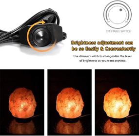 img 1 attached to Eterbiz 2 Pack Himalayan Salt Lamp Cord Replacement with Dimmer Switch, and 🔌 8 Pack 15W E12 Halogen Bulbs - Ideal Salt Lamp Accessories for Household Use