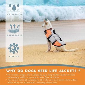 img 3 attached to 🐶 Durable Dog Life Jacket: Small & Medium Sizes for Swimming, Pool Float Coat, Flotation Device - Perfect for Bulldogs and Labradors