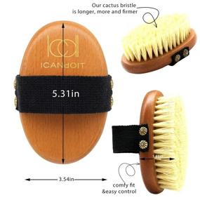 img 1 attached to ICANdOIT Dry Brushing Body Brush: Natural Agave Cactus Bristles for Cellulite & Lymphatic Draining, Vegan Dry Skin Brush with Extra Firm Tampico Fiber