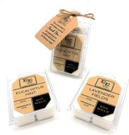 🕯️ all natural soy wax melts (2 pack) - long lasting fragrances infused with essential oil, handmade in u.s.a., perfect for electric/tealight warmers - spa scented soy wax cubes/tarts by e&e company логотип