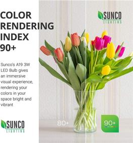 img 2 attached to Sunco Lighting 2700K Dimmable Indoor Industrial Electrical