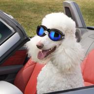 premium petleso dog goggles: uv protection, waterproof & large to enhance dog driving and cycling experience logo