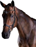 weatherbeeta collegiate comfitec crystal warmblood логотип