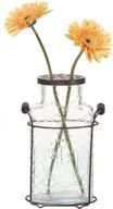 🌺 stylish creative co-op de3875 glass vase with metal frog lid in durable metal stand logo
