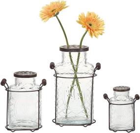 img 2 attached to 🌺 Stylish Creative Co-Op DE3875 Glass Vase with Metal Frog Lid in Durable Metal Stand