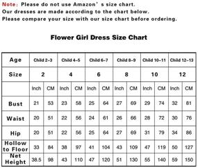 img 1 attached to Elegant Lace Applique Floor Length Flower Girl Dress for Wedding, Birthday, and Pageant Ball Gown - ABAO SISTER