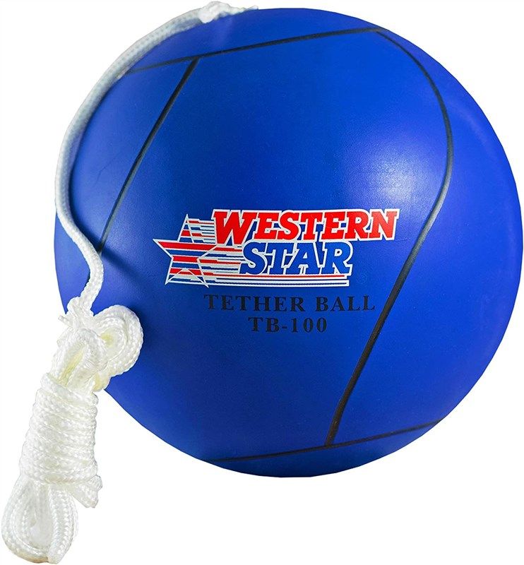 western star tetherball backyard replacement 로고