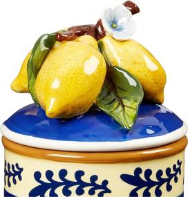 img 1 attached to Multicolor Medium 🍋 Blue Sky Ceramic Lemon Canister